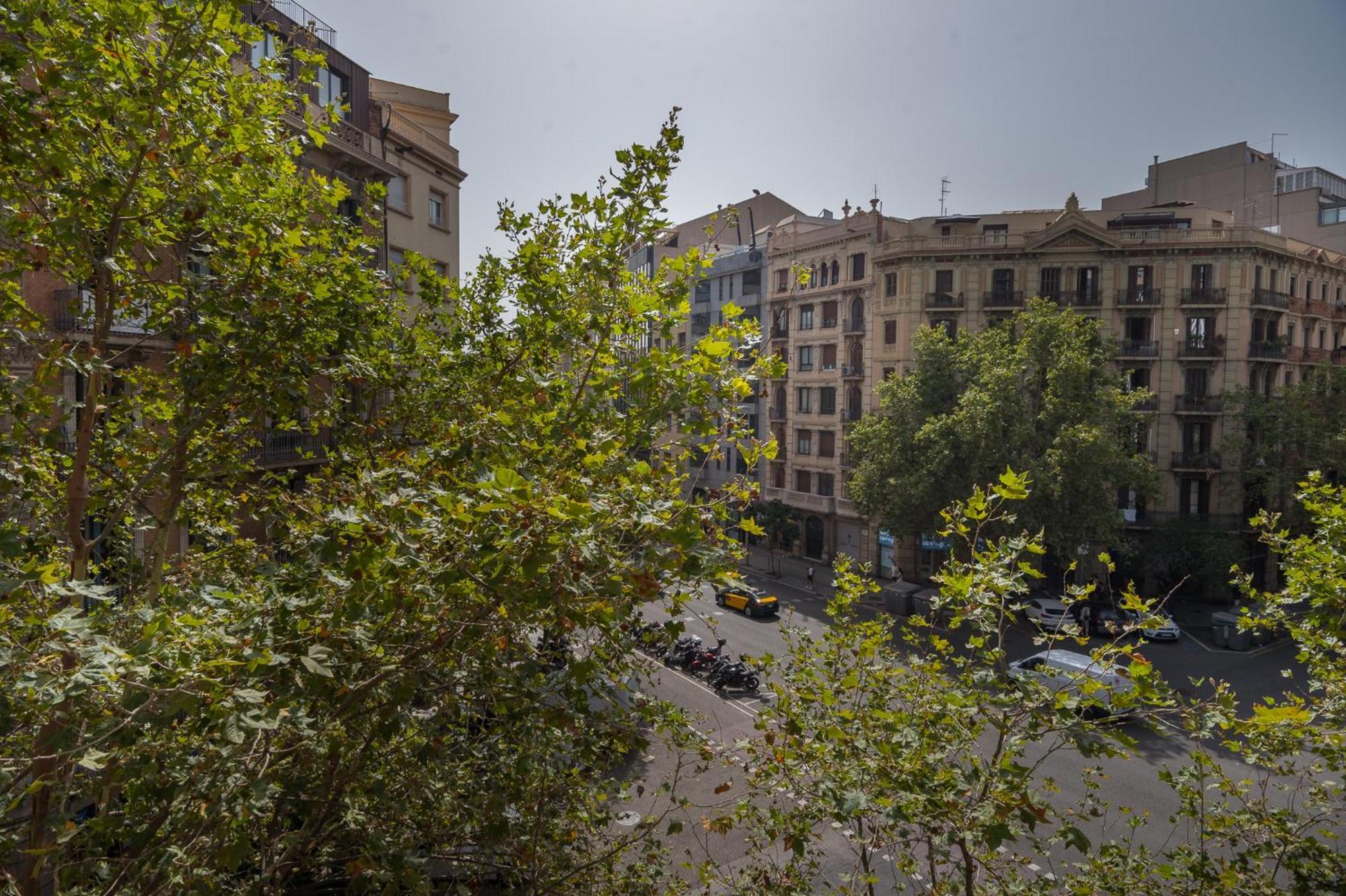R&b Muntaner Appartement Barcelona